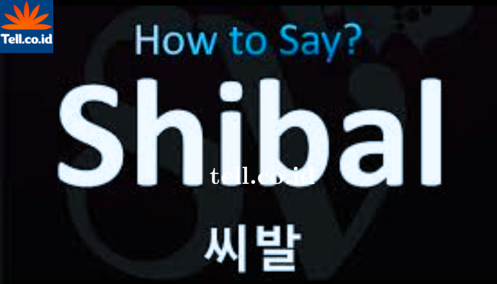 Shibal Merupakan Kata Umpatan Dalam Bahasa Korea.